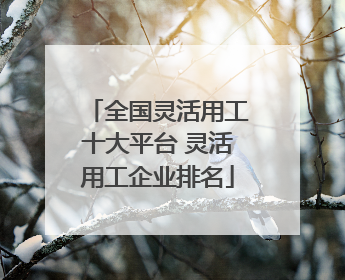全国灵活用工十大平台 灵活用工企业排名