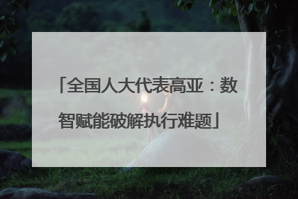 全国人大代表高亚：数智赋能破解执行难题