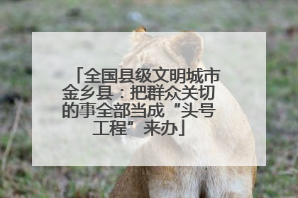 全国县级文明城市金乡县：把群众关切的事全部当成“头号工程”来办
