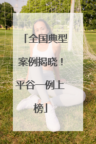 全国典型案例揭晓！平谷一例上榜