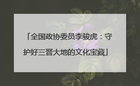 全国政协委员李骏虎：守护好三晋大地的文化宝藏