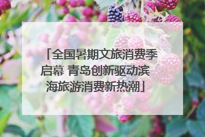 全国暑期文旅消费季启幕 青岛创新驱动滨海旅游消费新热潮