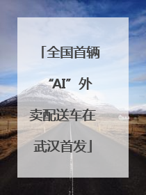 全国首辆“AI”外卖配送车在武汉首发