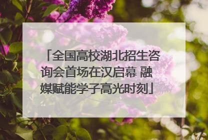 全国高校湖北招生咨询会首场在汉启幕 融媒赋能学子高光时刻