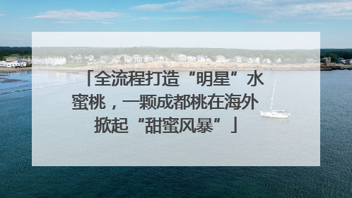 全流程打造“明星”水蜜桃，一颗成都桃在海外掀起“甜蜜风暴”