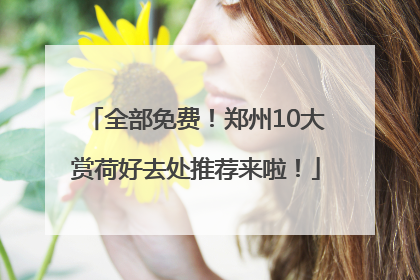 全部免费！郑州10大赏荷好去处推荐来啦！
