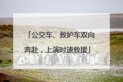 公交车、救护车双向奔赴，上演时速救援