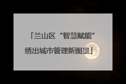 兰山区“智慧赋能”绣出城市管理新图景