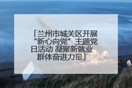 兰州市城关区开展“新心向党”主题党日活动 凝聚新就业群体奋进力量
