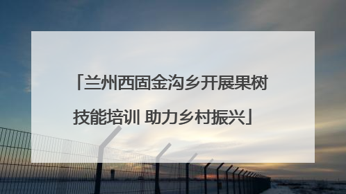 兰州西固金沟乡开展果树技能培训 助力乡村振兴