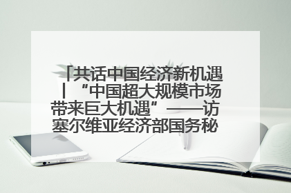 共话中国经济新机遇丨“中国超大规模市场带来巨大机遇”——访塞尔维亚经济部国务秘书尼科利奇