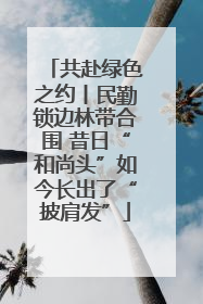 共赴绿色之约丨民勤锁边林带合围 昔日“和尚头”如今长出了“披肩发”