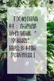 关岭围墙村：东西部协作铺就“幸福路” 描绘乡村振兴新图景
