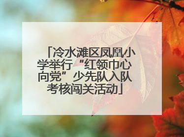 冷水滩区凤凰小学举行“红领巾心向党”少先队入队考核闯关活动