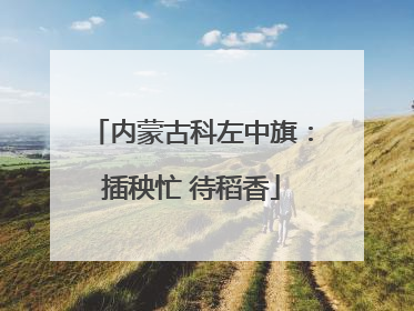 内蒙古科左中旗：插秧忙 待稻香