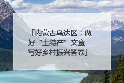 内蒙古乌达区：做好“土特产”文章 写好乡村振兴答卷
