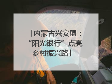 内蒙古兴安盟：“阳光银行”点亮乡村振兴路
