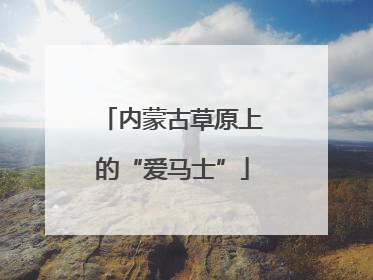 内蒙古草原上的“爱马士”