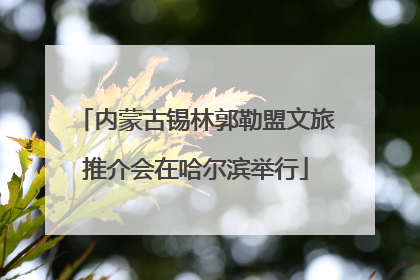 内蒙古锡林郭勒盟文旅推介会在哈尔滨举行