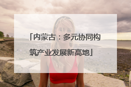 内蒙古：多元协同构筑产业发展新高地