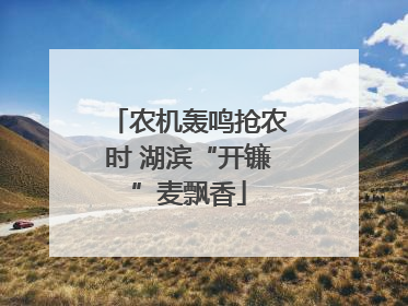 农机轰鸣抢农时 湖滨“开镰”麦飘香