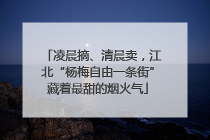 凌晨摘、清晨卖，江北“杨梅自由一条街”藏着最甜的烟火气