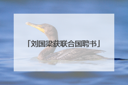 刘国梁获联合国聘书