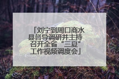 刘宁到周口商水县督导调研并主持召开全省“三夏”工作视频调度会