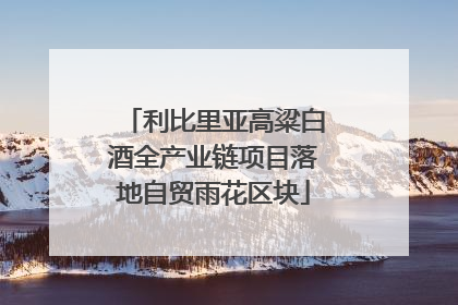 利比里亚高粱白酒全产业链项目落地自贸雨花区块