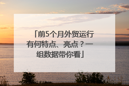 前5个月外贸运行有何特点、亮点？一组数据带你看