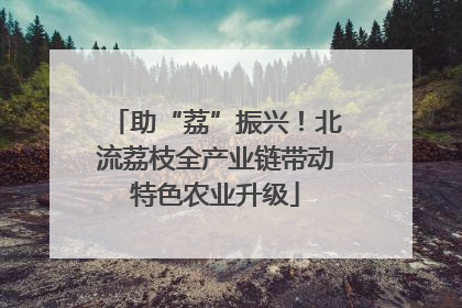 助“荔”振兴！北流荔枝全产业链带动特色农业升级