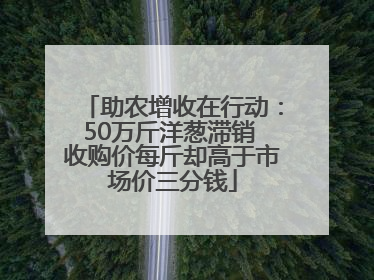 助农增收在行动：50万斤洋葱滞销 收购价每斤却高于市场价三分钱