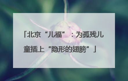 北京“儿福”：为孤残儿童插上“隐形的翅膀”