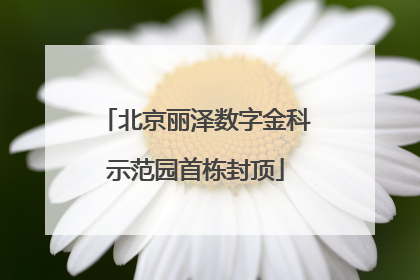 北京丽泽数字金科示范园首栋封顶