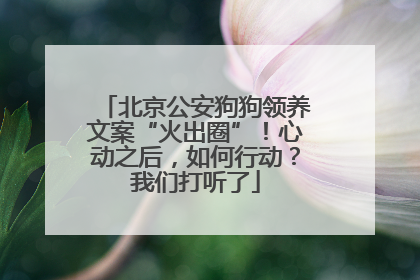 北京公安狗狗领养文案“火出圈”！心动之后，如何行动？我们打听了