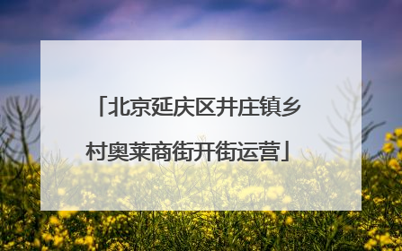 北京延庆区井庄镇乡村奥莱商街开街运营