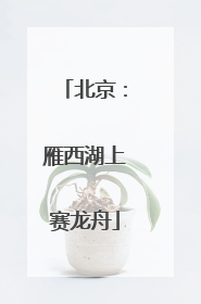 北京：雁西湖上赛龙舟