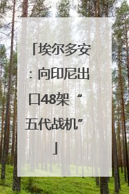 埃尔多安：向印尼出口48架“五代战机”