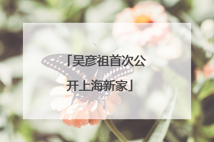 吴彦祖首次公开上海新家