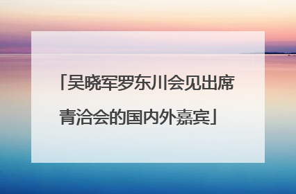 吴晓军罗东川会见出席青洽会的国内外嘉宾