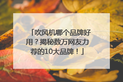 吹风机哪个品牌好用？揭秘数万网友力荐的10大品牌！