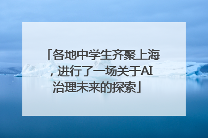 各地中学生齐聚上海，进行了一场关于AI治理未来的探索