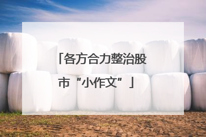 各方合力整治股市“小作文”