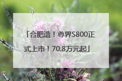 合肥造！尊界S800正式上市！70.8万元起