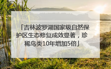 吉林波罗湖国家级自然保护区生态修复成效显著，珍稀鸟类10年增加5倍