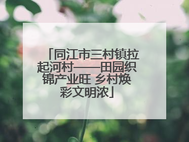 同江市三村镇拉起河村——田园织锦产业旺 乡村焕彩文明浓