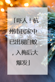 吓人！杭州市民家中已出现白蚁，入梅后大爆发