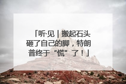 听·见｜搬起石头砸了自己的脚，特朗普终于“慌”了！
