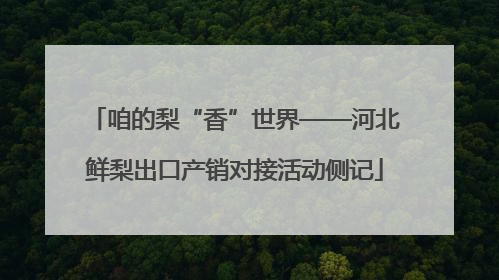 咱的梨“香”世界——河北鲜梨出口产销对接活动侧记