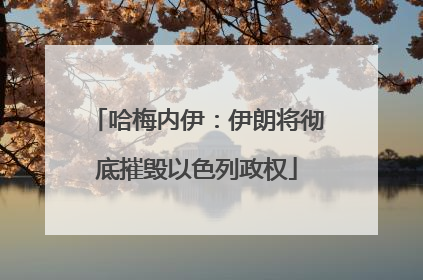 哈梅内伊：伊朗将彻底摧毁以色列政权